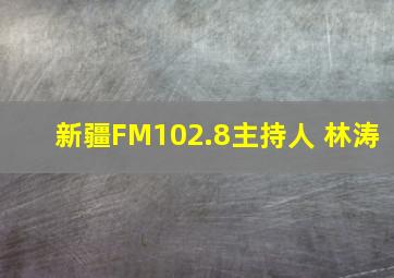 新疆FM102.8主持人 林涛